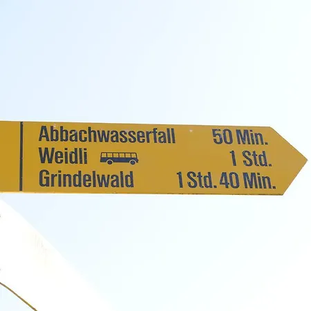 55 Grindelwald